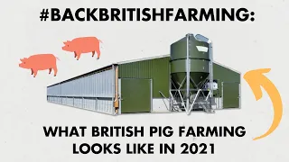 What British Pig Farming Looks Like in 2021 #BackBritishFarming