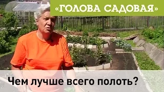 Голова садовая - Чем лучше всего полоть?