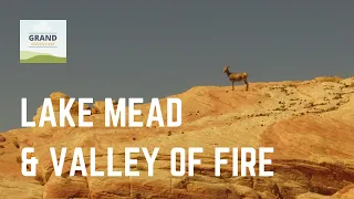 Ep. 5: Lake Mead & Valley of Fire, Nevada | RV travel Las Vegas Free Camping Boondocking