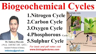 Biogeochemical Cycles #nitrogencycle #carboncycle Oxygen, Phosphorous & Sulphur Cycle #bscbotany