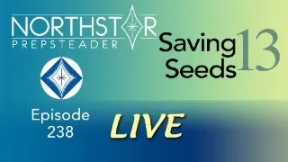 BIG Announcement!! • NORTHSTAR Live! Ep. 238