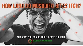 How long do Mosquito Bites Itch? - Best Treatment Mosquito Bites