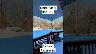 Normal day in Ohio #shorts #edit #fyp #ohio
