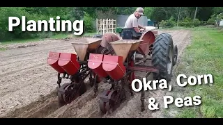 Planting Corn, Okra & Peas with '69 Massey Ferguson 135 & 70's Covington Speedmaster Duplex Planters