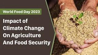 Impact Of Climate Change On Food Security