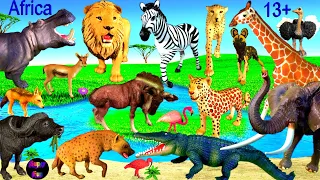 Big Cat Week - Zoo Animals Lion Leopard Cheetah Elephant Zebra Giraffe Hippo Crocodile Buffalo 13+