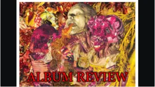 My Review Of Fluids "Ignorance Exalted"
