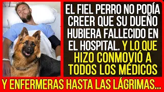 Lo que hizo el perro conmovió a todos los médicos y enfermeras hasta las lágrimas...