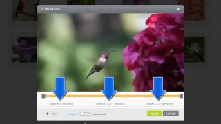Add and Edit Video Clips in your ProShow Web Slideshows
