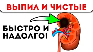 Почки как у юнца! 1 из этих рецептов точно подойдет тебе