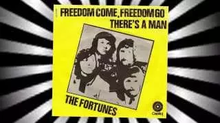 The Fortunes - Freedom Come, Freedom Go. - Vinyl  1971