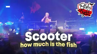 Scooter - how much is the fish ,live . Warszawa Torwar.