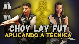 APPLICATIONS OF THE "CHOY LAY FUT" STYLE IN COMBAT 蔡李佛 ( PART 2 ) #choylayfut #kungfu