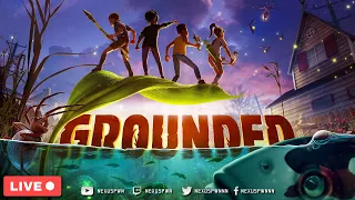 Üdv A Kertben | Grounded LIVE | 1.Rész #PCGamePassPartner