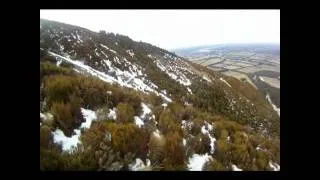 Speed Flying Tapping Bush NZ