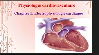 UE1 Physiologie CardioVasculaire (1) بالعربية : Electrophysiologie Cardiaque (Partie 1 )