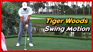 PGA King of Golf "Tiger Woods" Solid Driver-Iron Swing & Slow Motions