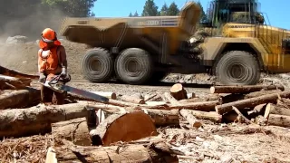 Making Firewood on Vancouver Island Pt. 6