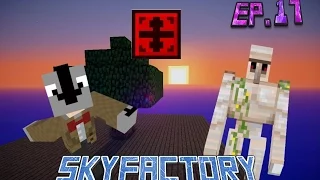 SkyFactory V2: Pseudo-Sigil ritual [17]