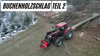 Grosse Bäume fällen und rücken. Mit Case ih 5150 und Krpan Seilwinde. Aufräumen mit Kubota Bagger.