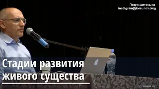 Торсунов О.Г.  Стадии развития живого существа