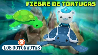 Los Octonautas - 🐢 Fiebre de tortugas 🎉 | Episodios Completos | Compilado