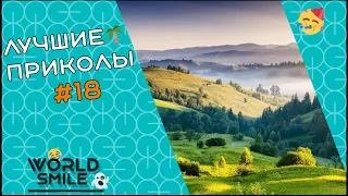 № 18 🍍Лучшие приколы 2021 Август🍍Свежие приколы 2021🍍Best Coub 2021🍍Смех до слез🍍