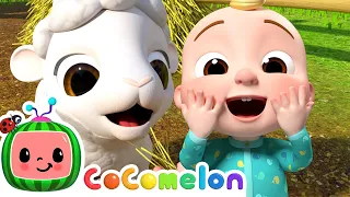 Old MacDonald - Baby Animal Version | CoComelon Animal Time | Animals for Kids