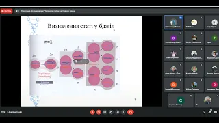 Наслідування деяких ознак у бджіл. Вечірне зібрання групи USV 8/01/22