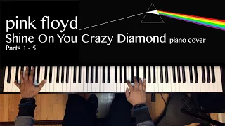 Shine On You Crazy Diamond Parts I - V - Pink Floyd - Piano Cover by Ranjit Souri