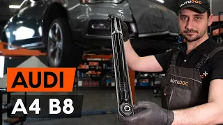 How to change rear shock absorber on AUDI A4 B8 Saloon [TUTORIAL AUTODOC]