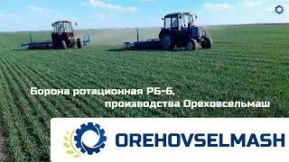 Работа БР-6, закрытие влаги по озимой пшенице.