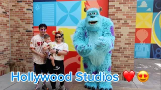 HOLLYWOOD STUDIOS, ANIMAL KINGDOM, ANIMAL KINGDOM LODGE (HOTEL)