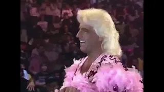 Ric Flair VS Lex Luger WCW Wrestle War 1990