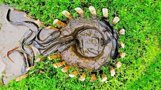 Amazing Hole Fish Trap | Smart Boy Build Fish Trap By Muddy soil | Get A Lot of Fish | GSBD