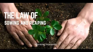 Jim Rohn: The Law of Sowing and Reaping - Motivational Video