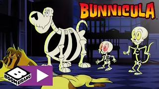 Bunnicula | Geist | Cartoonito