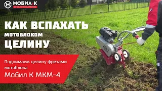 Как вспахать целину мотоблоком? Можно ли фрезами мотоблока МОБИЛ К МКМ-4 поднять целину? ИНСТРУКЦИЯ!