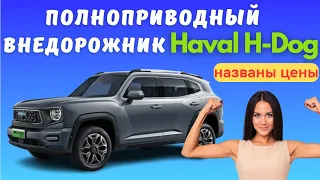 We started selling brand new Haval H-Dog all-wheel drive SUVs | Prices are known