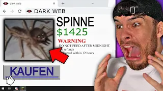 kaufe NIEMALS diese SPINNE im DARK WEB.. (GEFÄHRLICH)