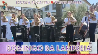 ESCOLA DE GAITAS de Ponte de Lima |Festa 👍 Domingo Gastronómico da Lampreia 🎈Ponte de Lima