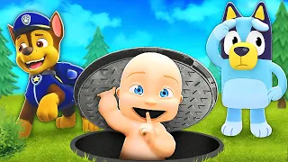Baby Plays Hide & Seek with Chase & Bluey!
