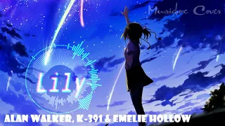 [Music box Cover] Alan Walker, K-391 & Emelie Hollow - Lily