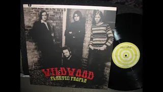 WILDWOOD . 1968-69 .US GARAGE PSYCH ROCK