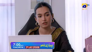 Pyari Nimmo 2nd Last Episode 52 Promo | Tomorrow at 7:00 PM Only On Har Pal Geo