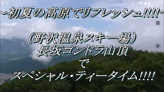 ～～初夏の高原でリフレッシュ！！！！～～（野沢温泉スキー場）長坂ゴンドラ山頂でスペシャル・ティータイム!!!!