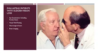 Central Causes of Vision Loss