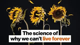 The science of why we die | Michael Shermer | Big Think