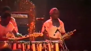 Thomas Mapfumo Live in London 1984