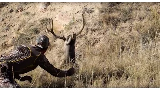 Sneaky hunter actually grabs a buck!